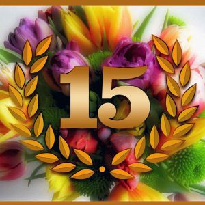 15-tremendous-years-our-aniversery