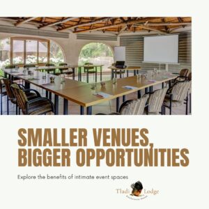 Smaller Venues, Bigger Opportunities - Tladi Lodge